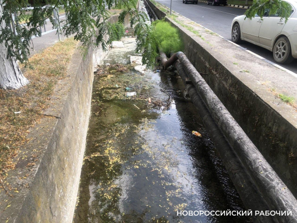 За ущерб бюджету Новороссийска в 2,3 миллиона рублей предприниматель может сесть на 10 лет За ущерб бюджету Новороссийска в 2,3 миллиона рублей предприниматель может сесть на 10 лет