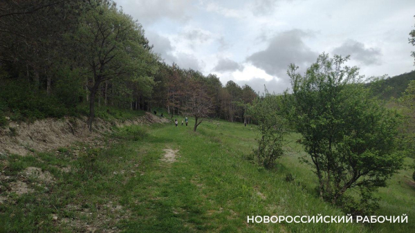 Советы дня на 9 ноября: о детской телепередаче, ожирении и печали во благо Советы дня на 9 ноября: о детской телепередаче, ожирении и печали во благо