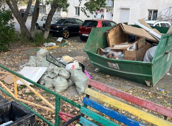 Так жить нельзя: жительница Новороссийска возмущена замусоренной территорией двора Так жить нельзя: жительница Новороссийска возмущена замусоренной территорией двора